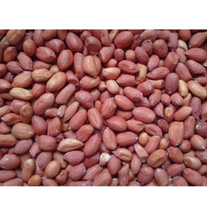 Raw Groundnut